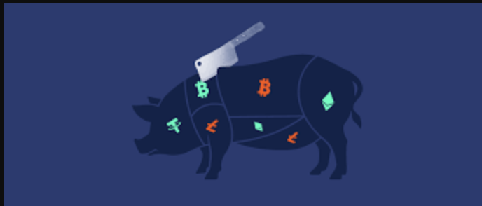 Don’t Get Caught in the Trap: An Insight Into Pig Butchering Scams