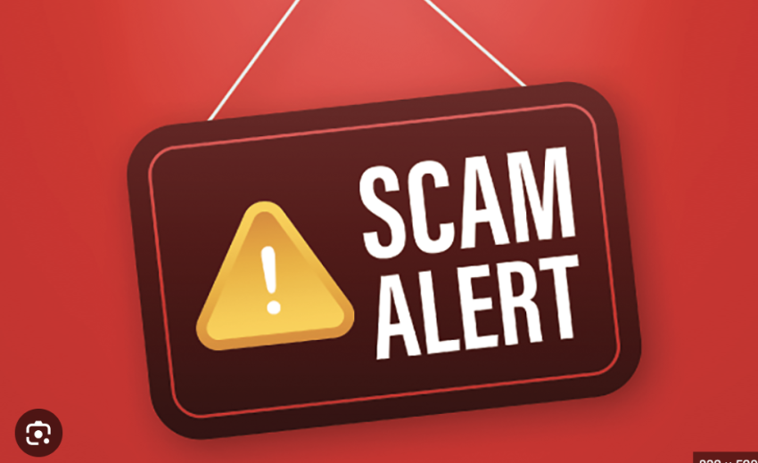 Blitzex-change.org Scam Review