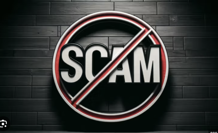 Investbridge.pro / Investbridgeapp.com Exposed