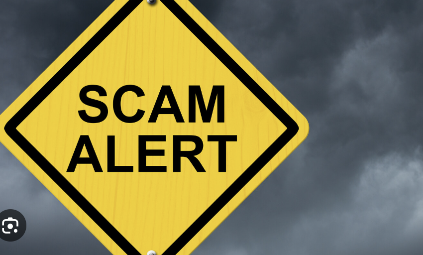 Torgadotraderapp.net Scam Review