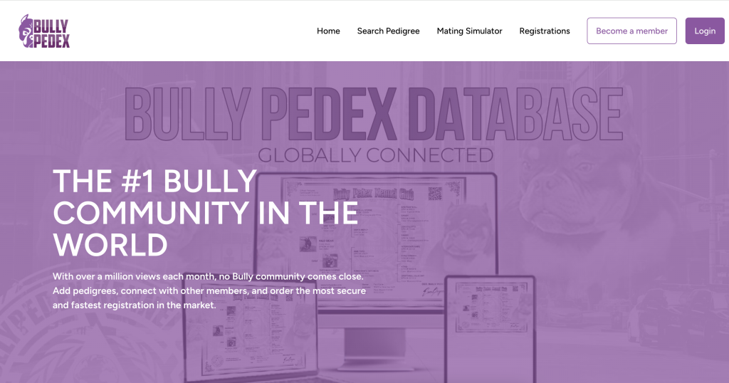 Bullyex.com Under Scrutiny