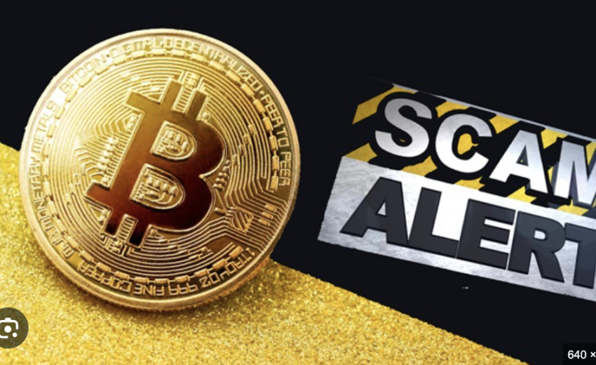 Navigating the Coinperday.com Controversy