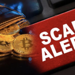 Liquiditypool.info Exposed