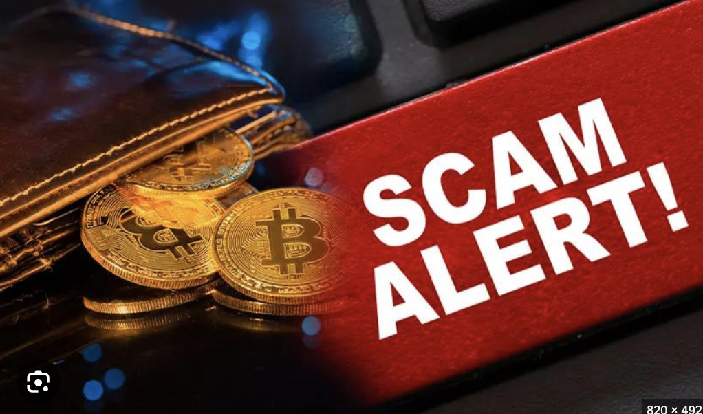 Liquiditypool.info Exposed