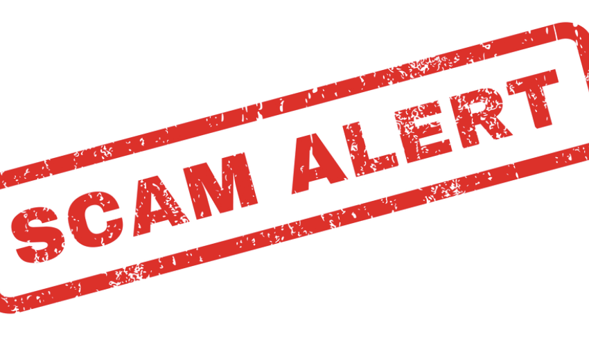 Cryptopntix.net Under Scrutiny