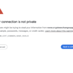 The Dark Side of Cryptoexchangeapp.net