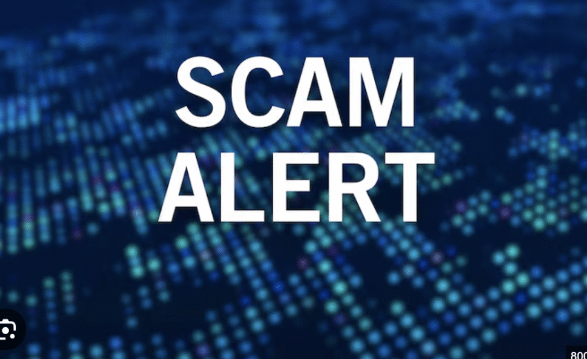 Alidigitalmarketearning.top Scam Review