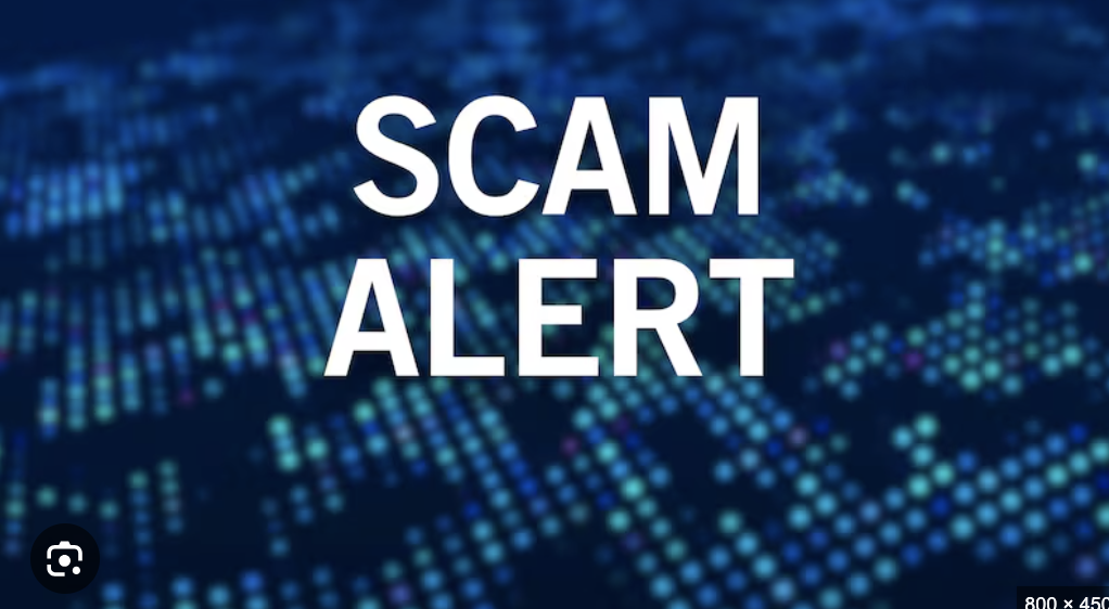 Alidigitalmarketearning.top Scam Review