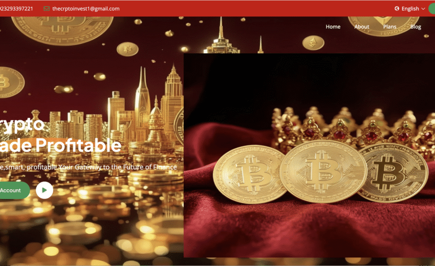 Unmasking Thecryptoinvest.net