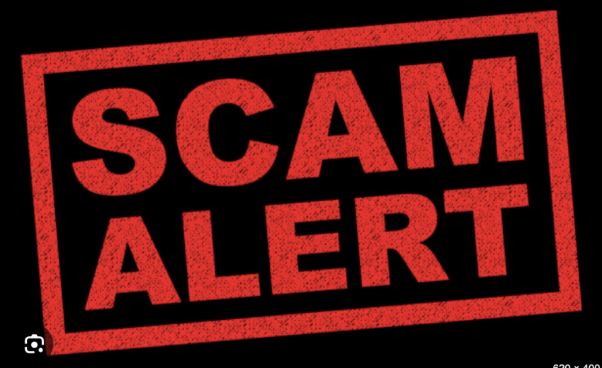 Analyzing Dogeinvest.net Scam