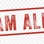 Azalybit.com Scam Review Exposed